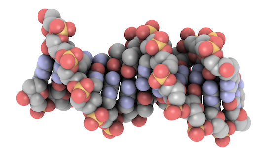 How does the accessibility of DNA affect the expression of genes?