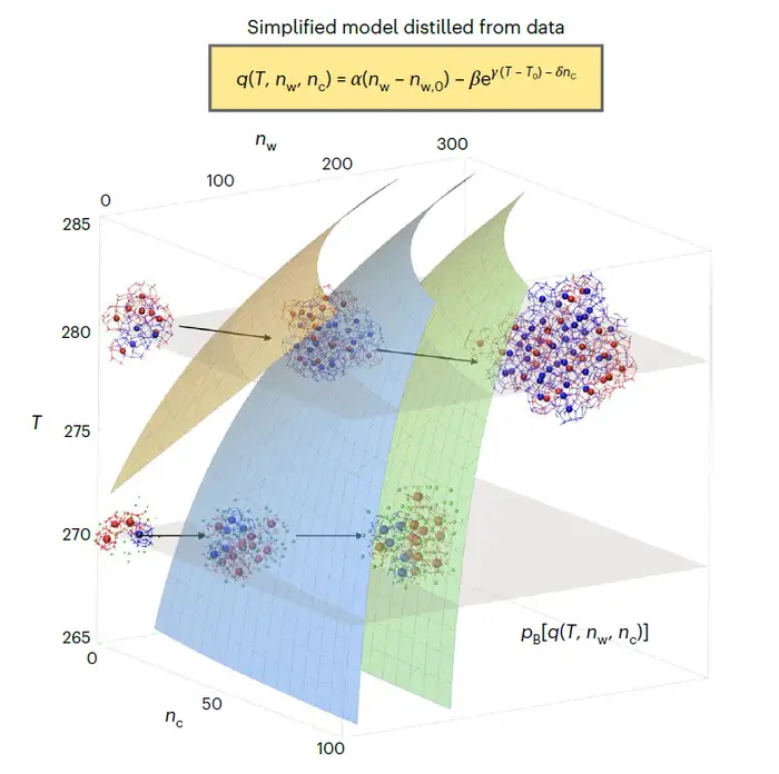 Unravelling molecular self-organisation using a machine learning approach