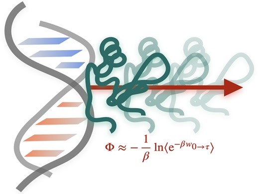 Predicting dissociation free energies of protein-DNA complexes