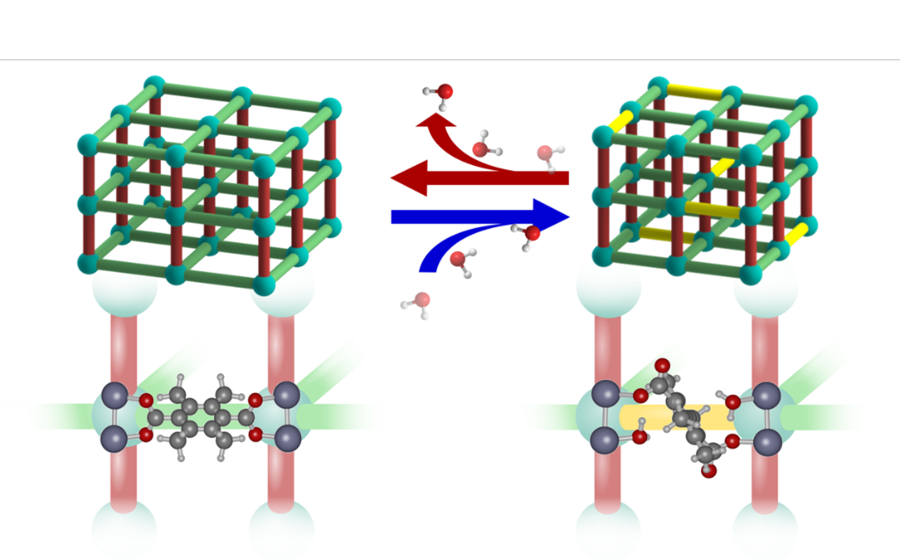 Loading-dependent water effects on the structural properties of water stable MOFs