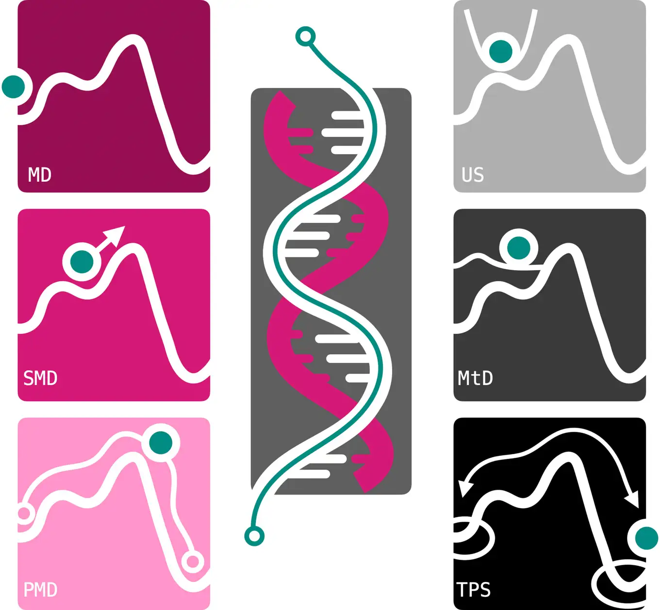 Enhanced sampling strategies for molecular simulation of DNA